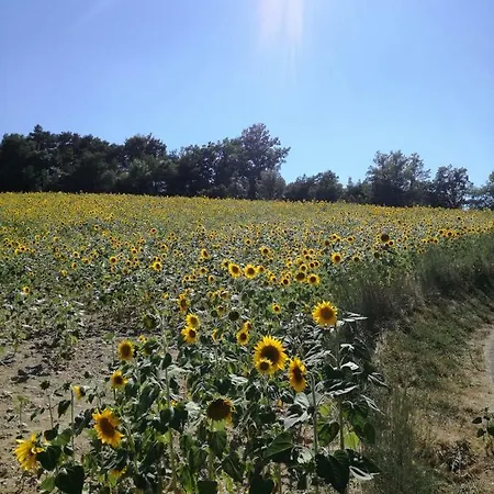 Les Cades Esparron-de-Verdon